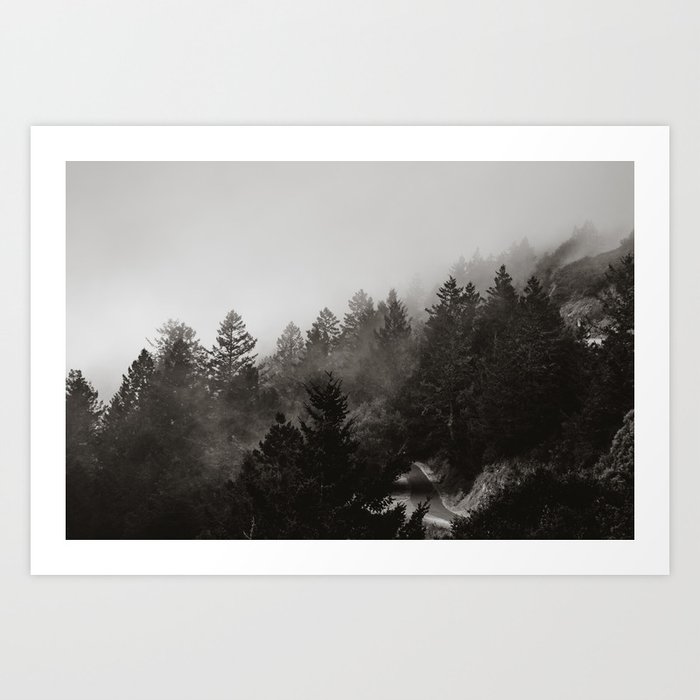Misty Forest in Black and White III Art Print