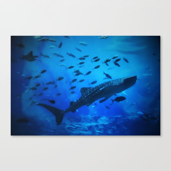 A Whale of a Teacher Canvas Print
