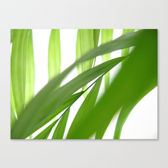 Palm 10 Canvas Print