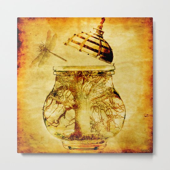 The liberation of the dragonfly Metal Print