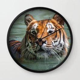 Cincinnati the Tiger in the Pool Wall Clock