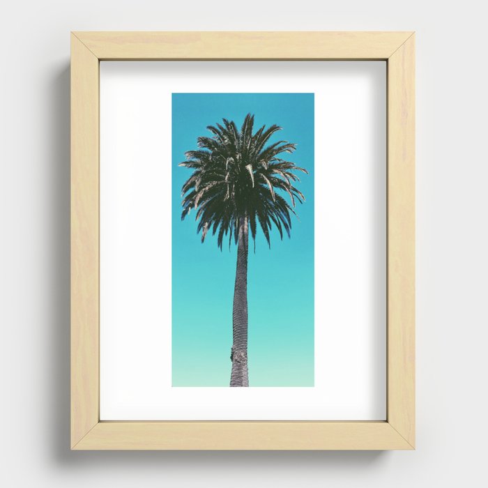 Pacific Palm Recessed Framed Print
