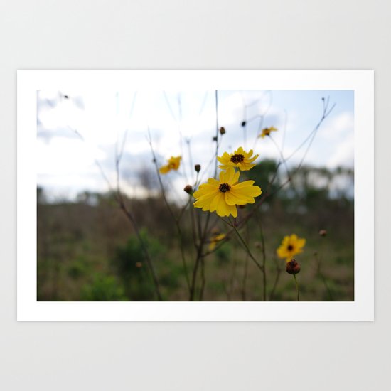 Yellow Art Print