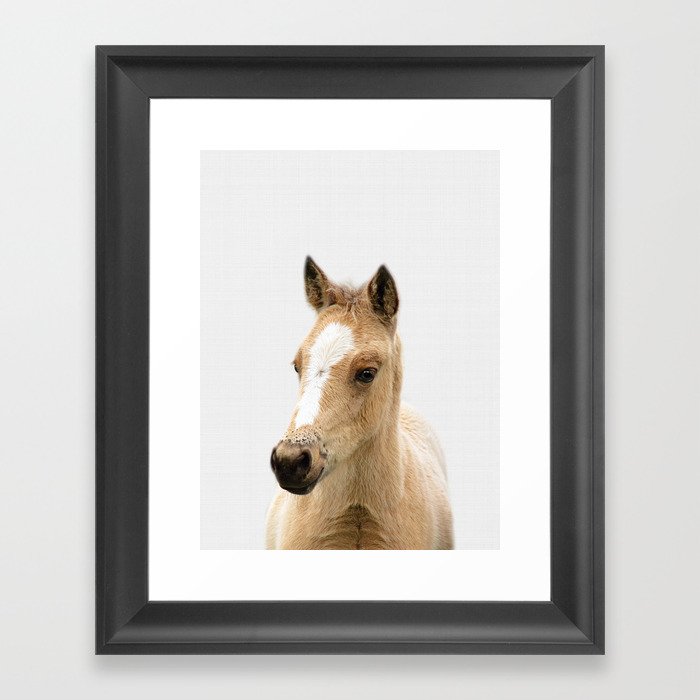 Horse Print Baby Animal Prints Farm Nursery Decor Horse Print Baby Animal Prints Farm Nursery Decor Art