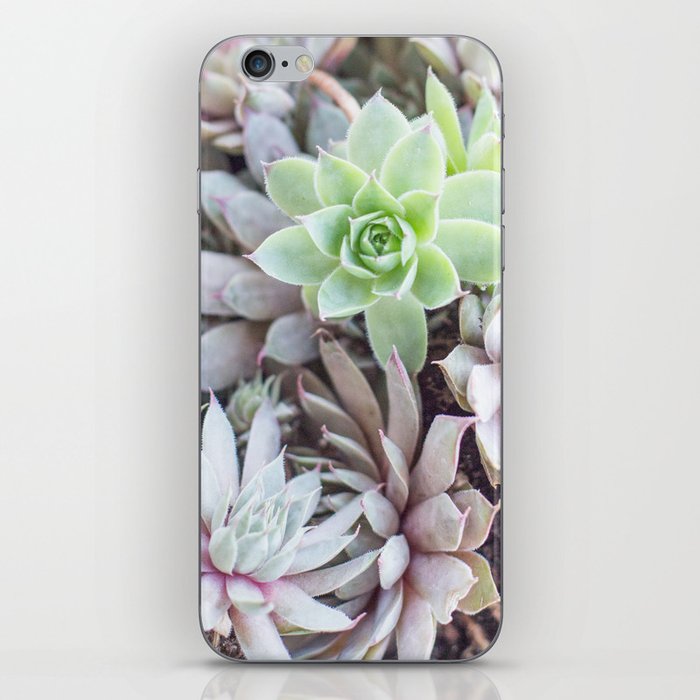 Sea of Succulents iPhone Skin
