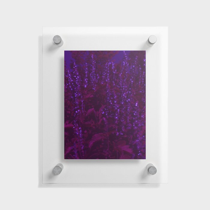 Glowing Purple Moon Flowers Floating Acrylic Print