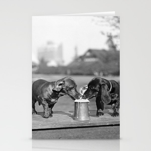 Two dogs and a beer; Dachshund siblings sharing a stein of beer on hot summer day funny humorous animal portrait photograph - photography - photographs Stationery Cards