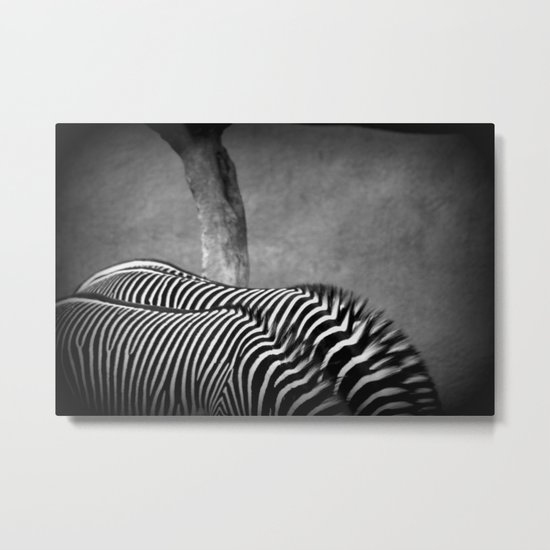 composition with zebras Metal Print