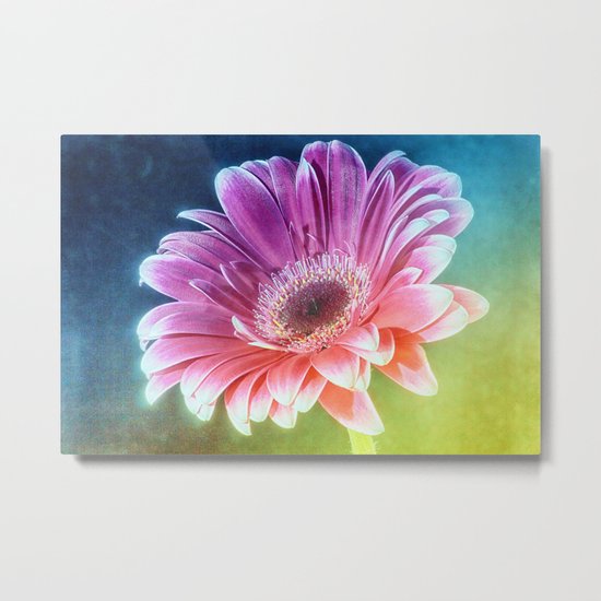 The Gerbera Rainbow Metal Print