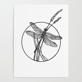 Dragonfly Summer Poster
