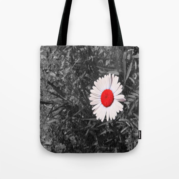 society6