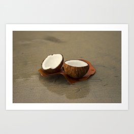 Coconut Art Print