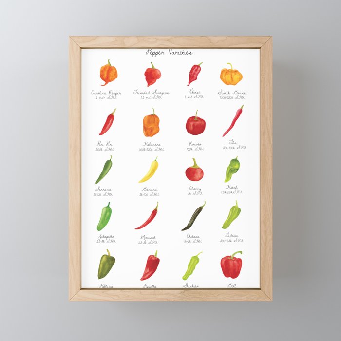 Watercolor Pepper Varieties Framed Mini Art Print