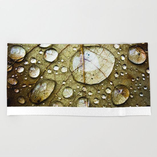 After the Rain Beach Towel