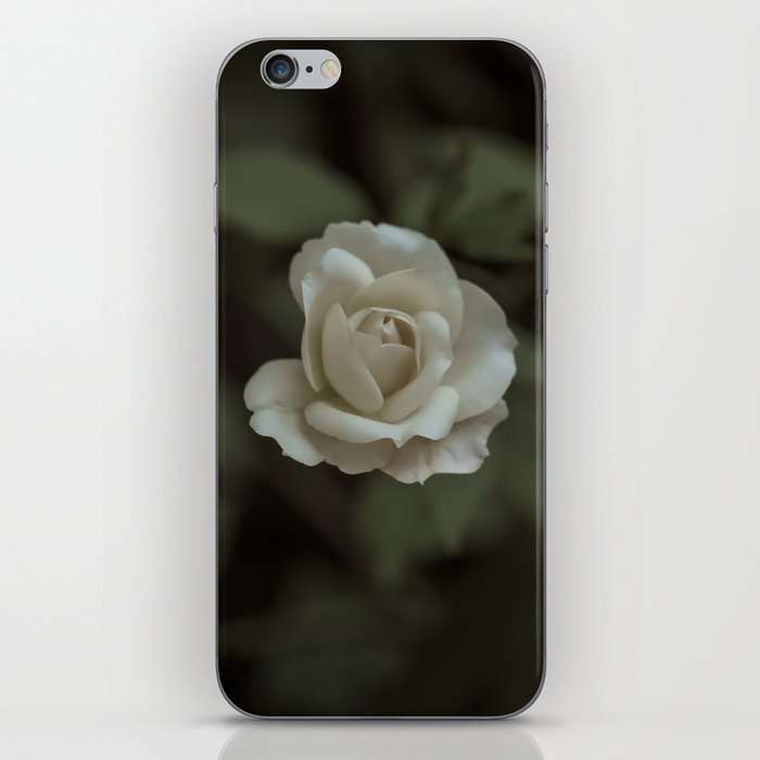 FLOWER • Rose Photography #43 • White & Green iPhone Skin