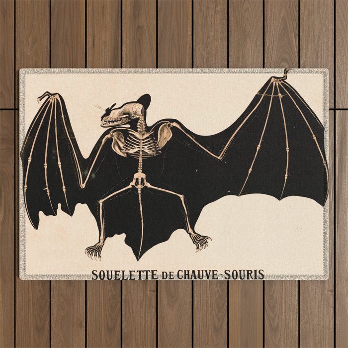Vintage French zoological board - Bat skeleton Outdoor Rug
