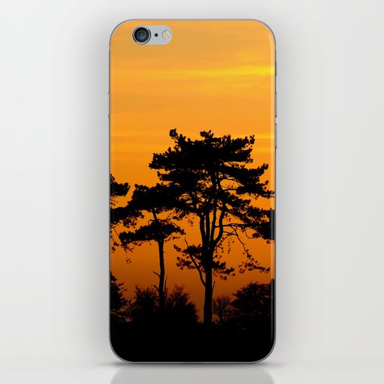 Sunset Trees iPhone & iPod Skin