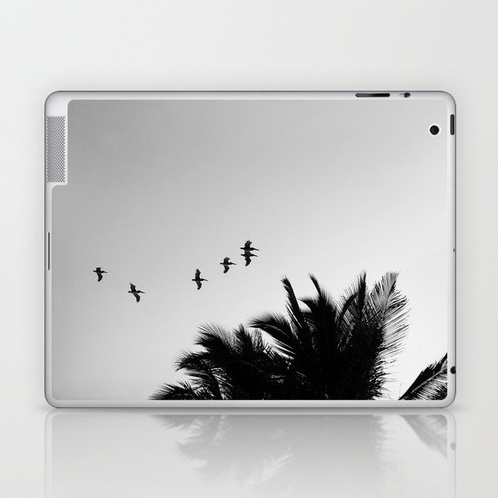 Flight Laptop & iPad Skin