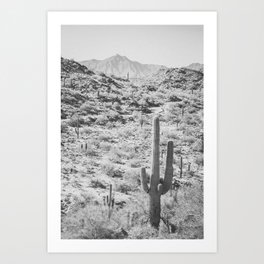 Desert III / Arizona Desert Art Print