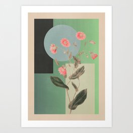 Floral Geometry 2 Art Print