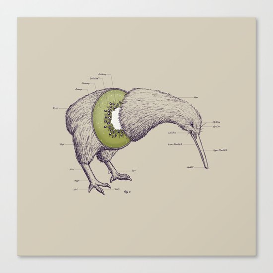 Kiwi Anatomy Canvas Print