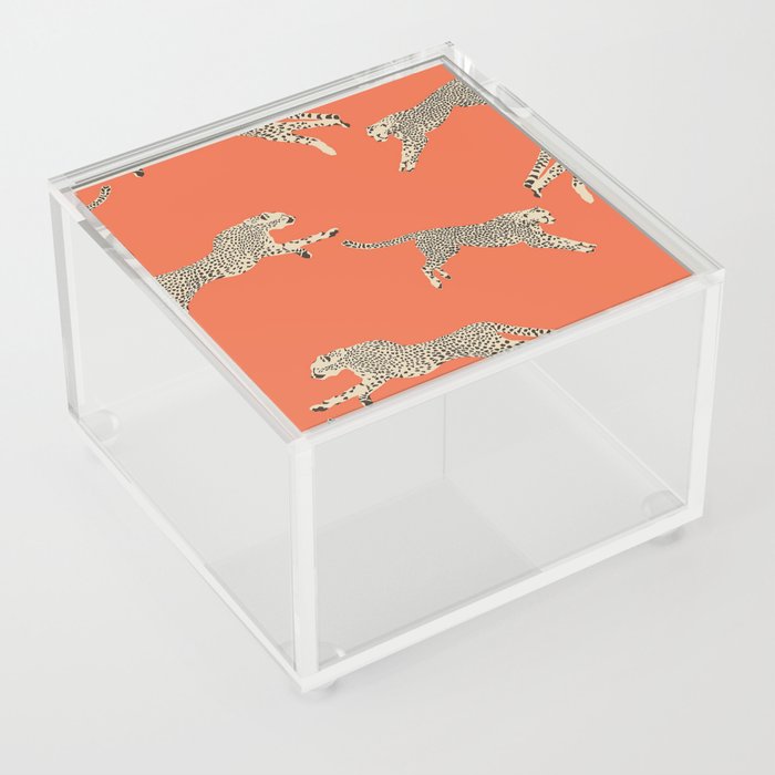 Leaping Cheetahs Tangerine Acrylic Box
