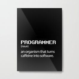 Computer Programmer / Developer Funny Wall Art Metal Print