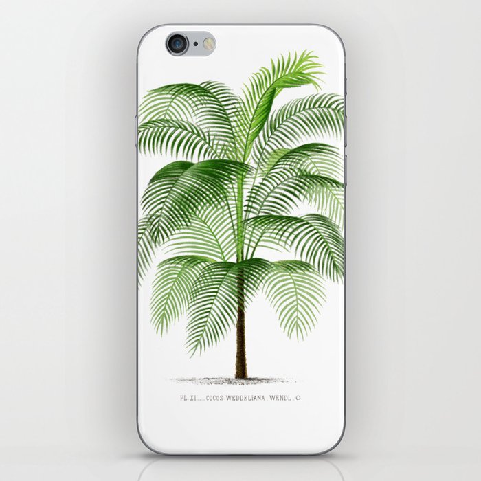 Palm tree iPhone Skin