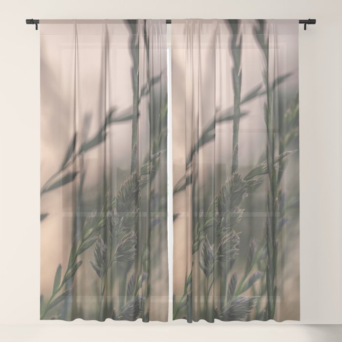 Sheer Curtain