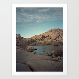 Joshua Tree National Park #1 Art Print