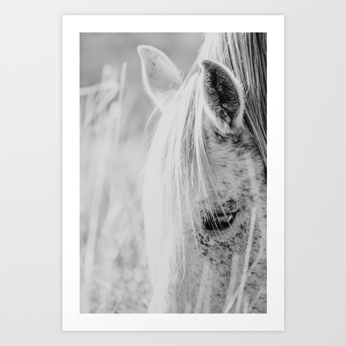 Horse Photography - Wild Horses Print - Black and White horse - Horses Mane - Animal print Art Print