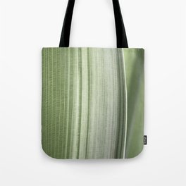 Sage green abstract tropical leaf art print - mindful botanical nature and travel photography Tote Bag