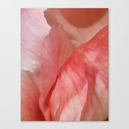 Waves of Pink - Peonies Canvas Print