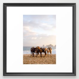 Horses on the beach Framed Art Print