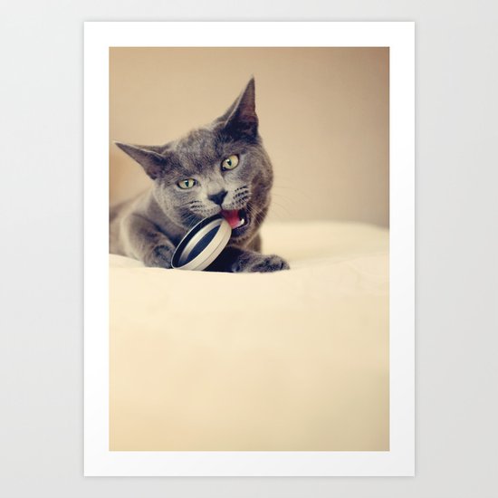 Cat Art Print