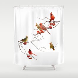 Cardinal Shower Curtains For Any, Cardinal Shower Curtain Hooks
