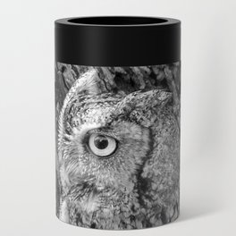 Echo the Screech Owl by Teresa Thompson Can Cooler