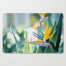 Bird of Paradise Photography, Green Orange Aqua Blue, Tropical Flower Nature Botanical Cutting Board