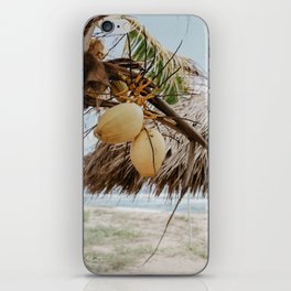Coconut Palm Love iPhone Skin
