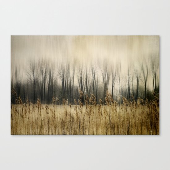 Marsh Edge Canvas Print