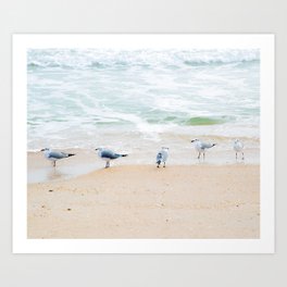 Beach Birds, photography by Tiffany Dawn Smith Art Print