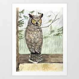 Great Horned Owl Watercolor Art Print