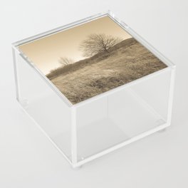 Vintage sepial monochromatic forest meadow landscape Acrylic Box