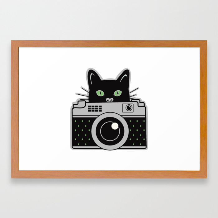 Black Cat And Camera Framed Art Print By Vstefanidis Society6