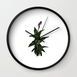 Herb Garden Mint Bathroom Decor Acrylic Painting  Wall Clock
