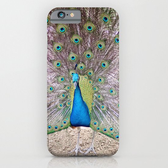 peacock iPhone & iPod Case