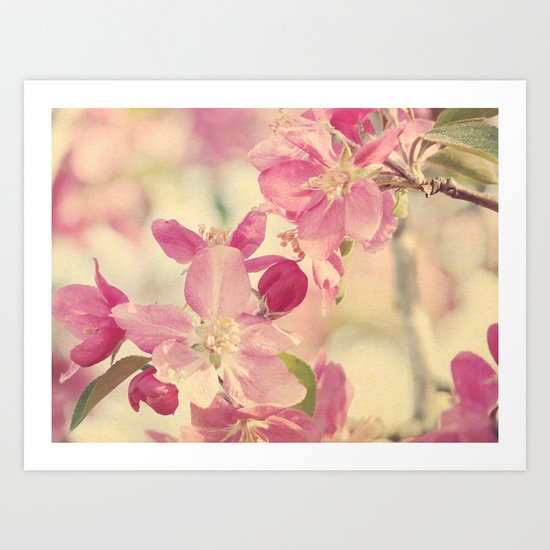 Pink Crabapple Blossom Art Print