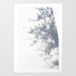 Shadow pinetree Puglia Italy | wanderlust | travel photography Art Print
