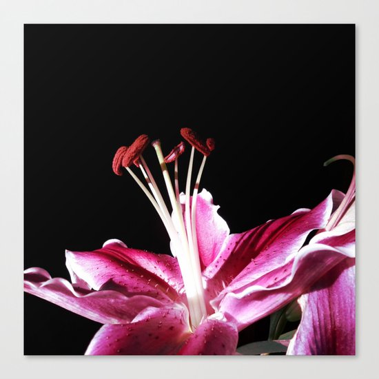 Morning's First Light Canvas Print