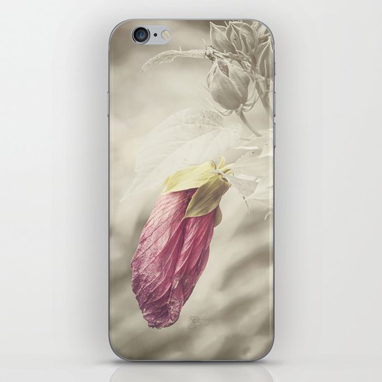 Beauty knows no Age iPhone & iPod Skin